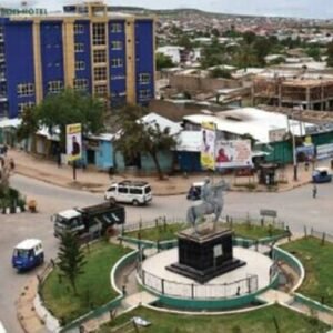 Ethiopian Airlines Jijiga Office in Ethiopia